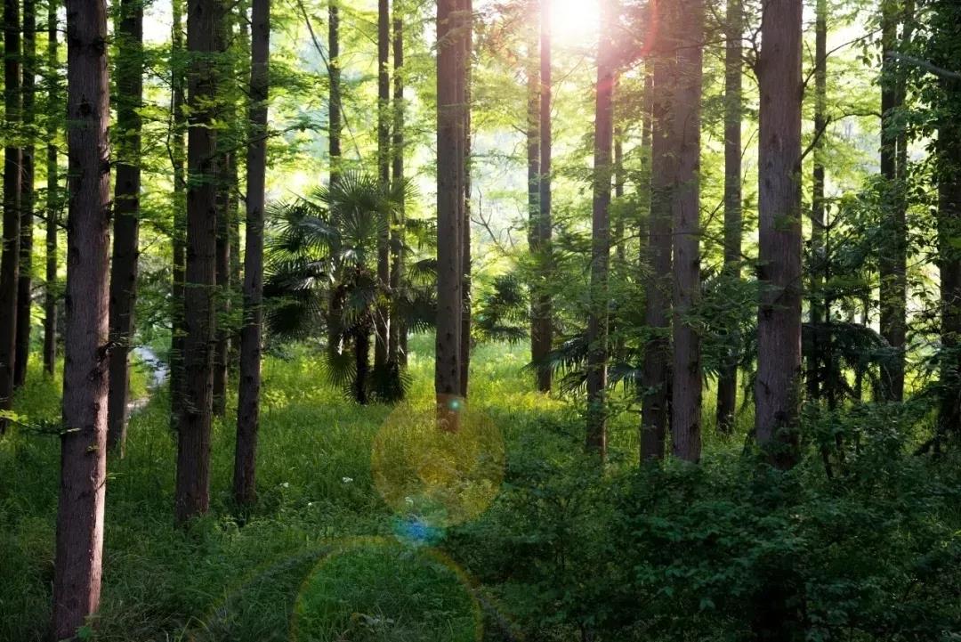 ΢ͼƬ_20201208113041.jpg